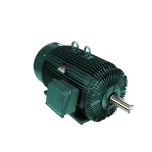 Cooling Tower Motors
