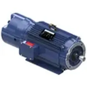Brake Motors