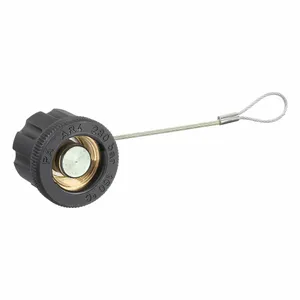 Drain Plugs