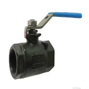 Gate and Globe Valves