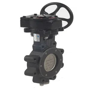Check and Foot Valves