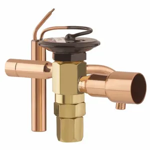 Thermostatic Expansion Valves