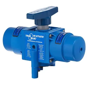 Pneumatic Actuators