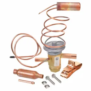 Check and Foot Valves