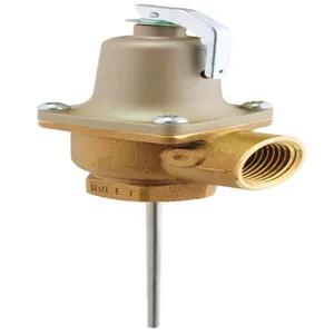 Temperature and Pressure Relief Valves