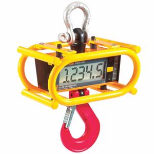 Crane Scales and Dynamometers