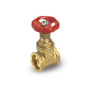 Gate and Globe Valves