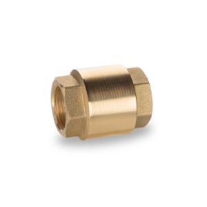 Pneumatic Check Valves