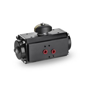 Pneumatic Actuators
