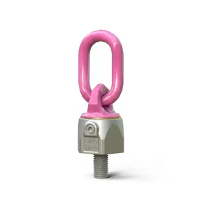Hoist Rings