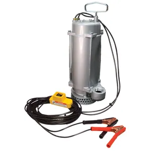 Utility/Dewatering Pumps