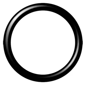 O-Rings