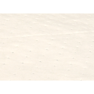 Absorbent Pads