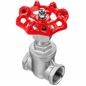 Gate and Globe Valves