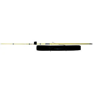 Voltage Detectors