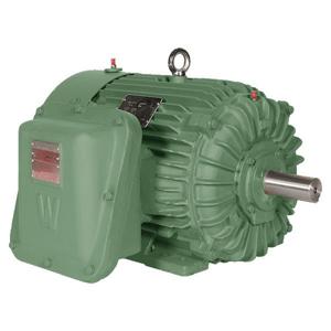 Hazardous Location Motors
