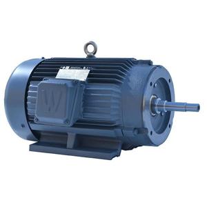 Close-Coupled Pump Motors