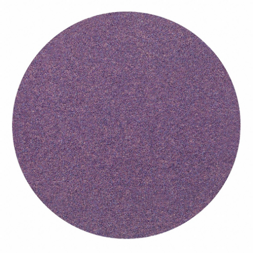 3M 732U Hook and Loop Sanding Disc, Coated, Non-Vacuum, 6 Inch Disc Diameter | CF2ABC 448A40