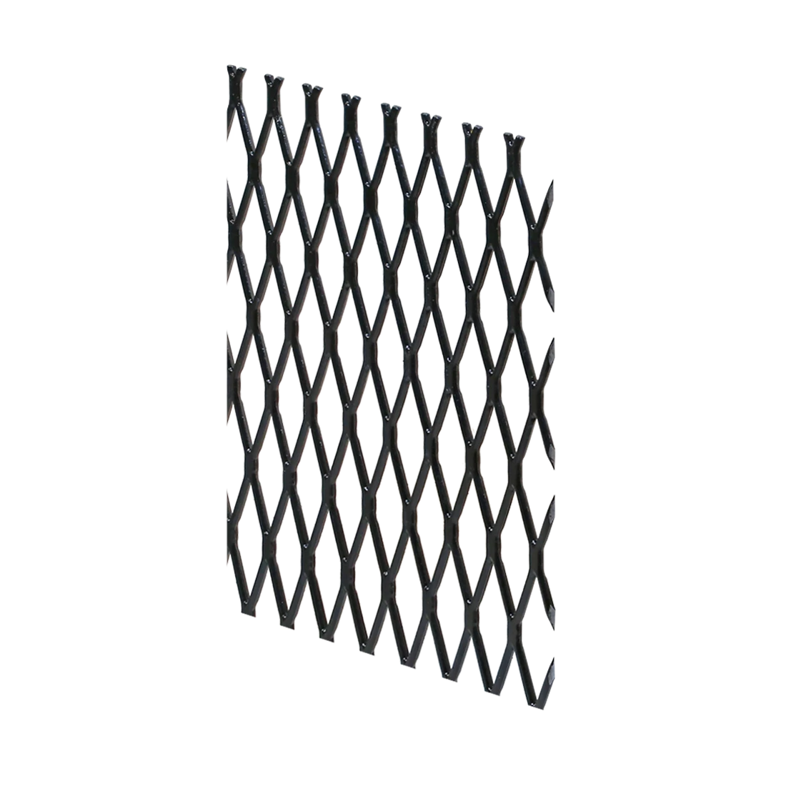 80/20 2481 80/20 2481 | CV8TMV