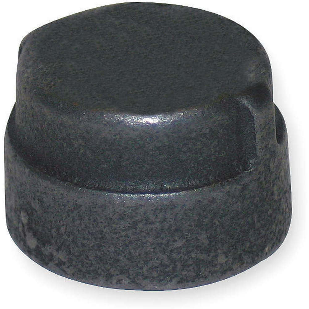 APPROVED VENDOR 1LBZ4 Cap 1/4 Inch Fnpt | AB2DHW