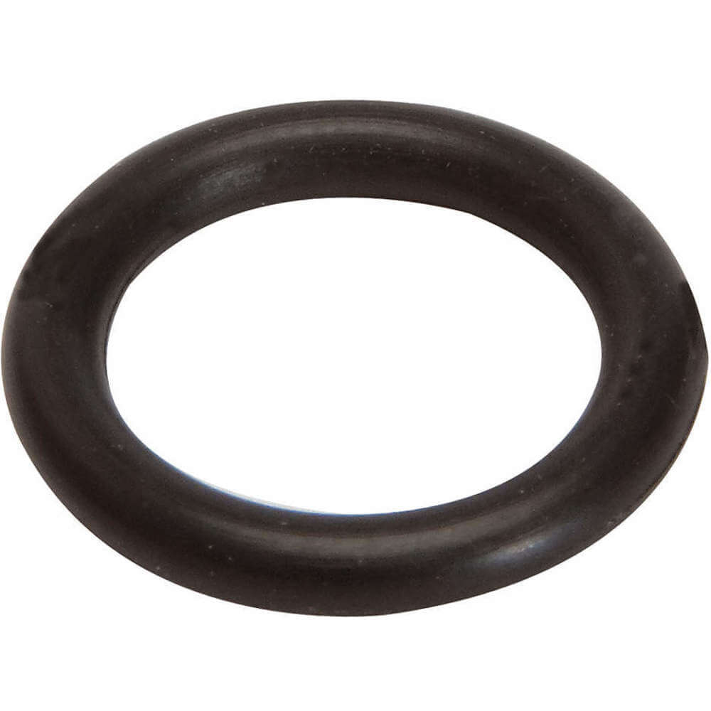 Pump Piston O-ring
