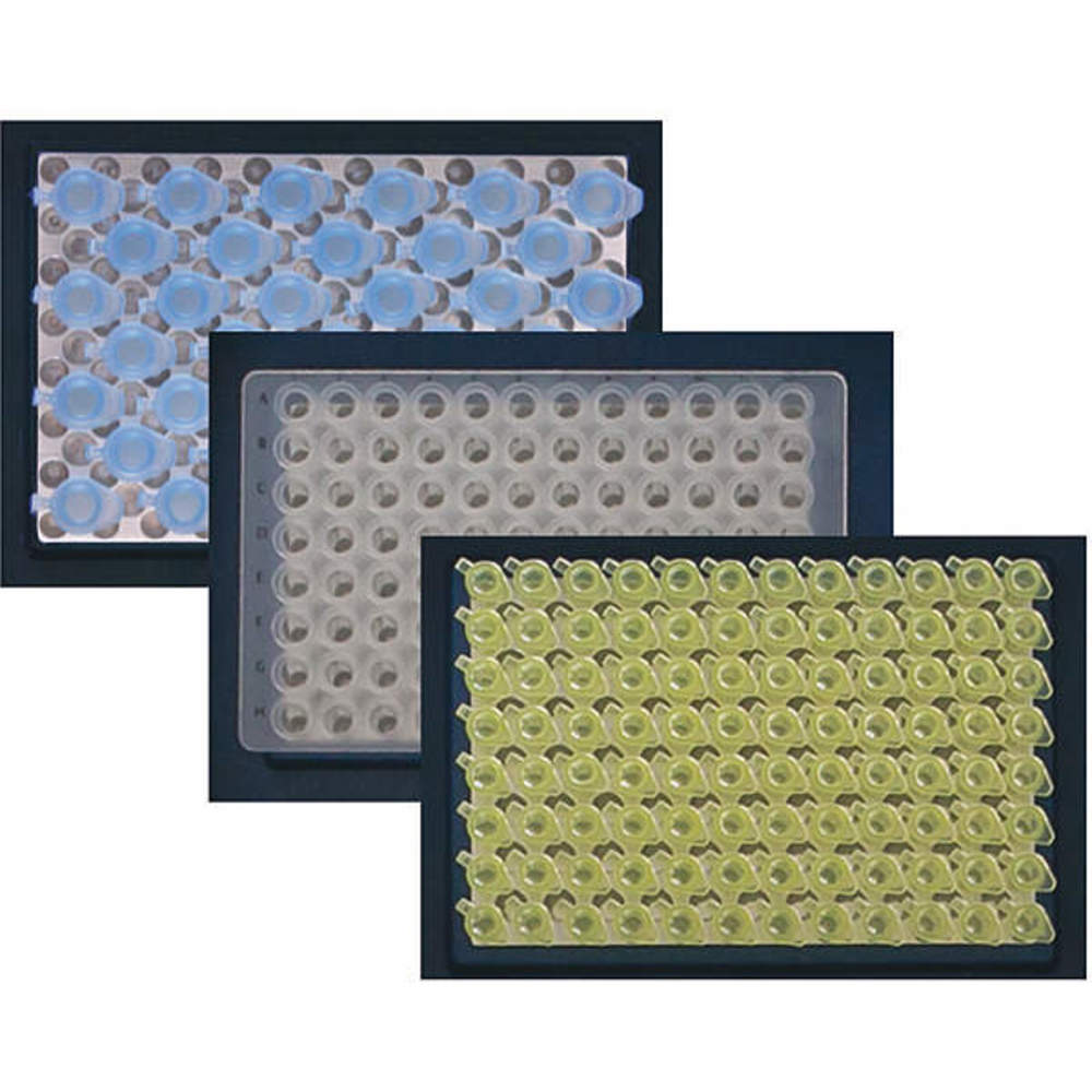 BENCHMARK SCIENTIFIC T5000-B-384