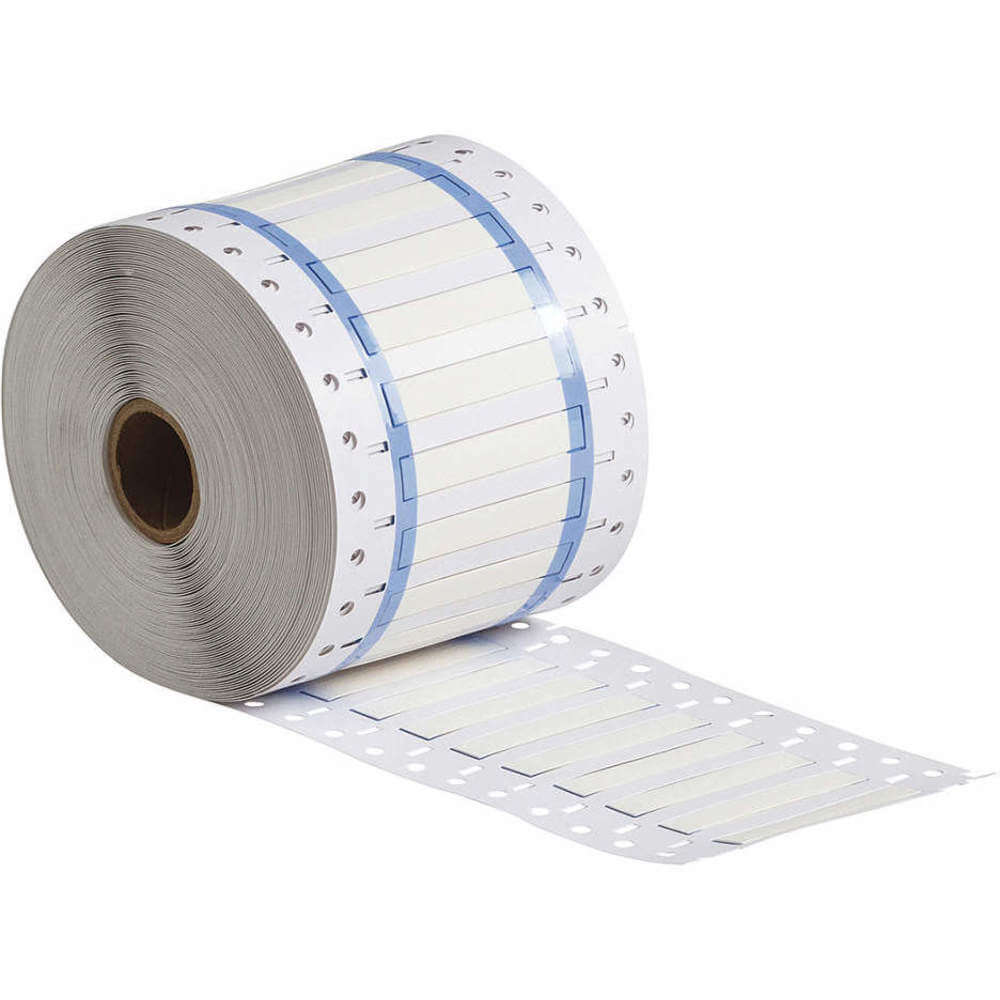 BRADY 3PS-187-2-WT-SC