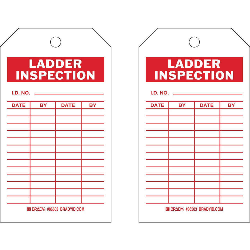 BRADY 86503 Inspection Tag 7 Inch Height x 4 Inch Width HD Poly. PK10 | AG9KUF 20TH04