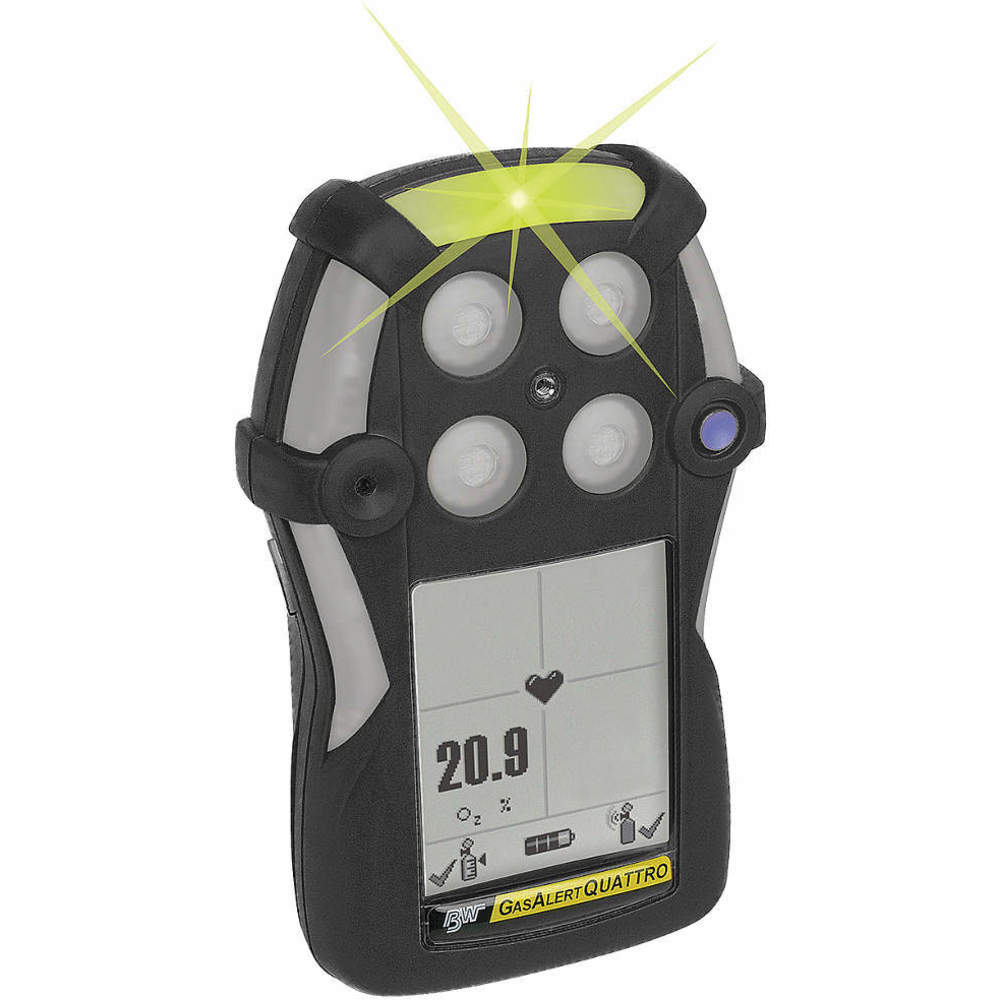 BW TECHNOLOGIES Single-Gas Detectors