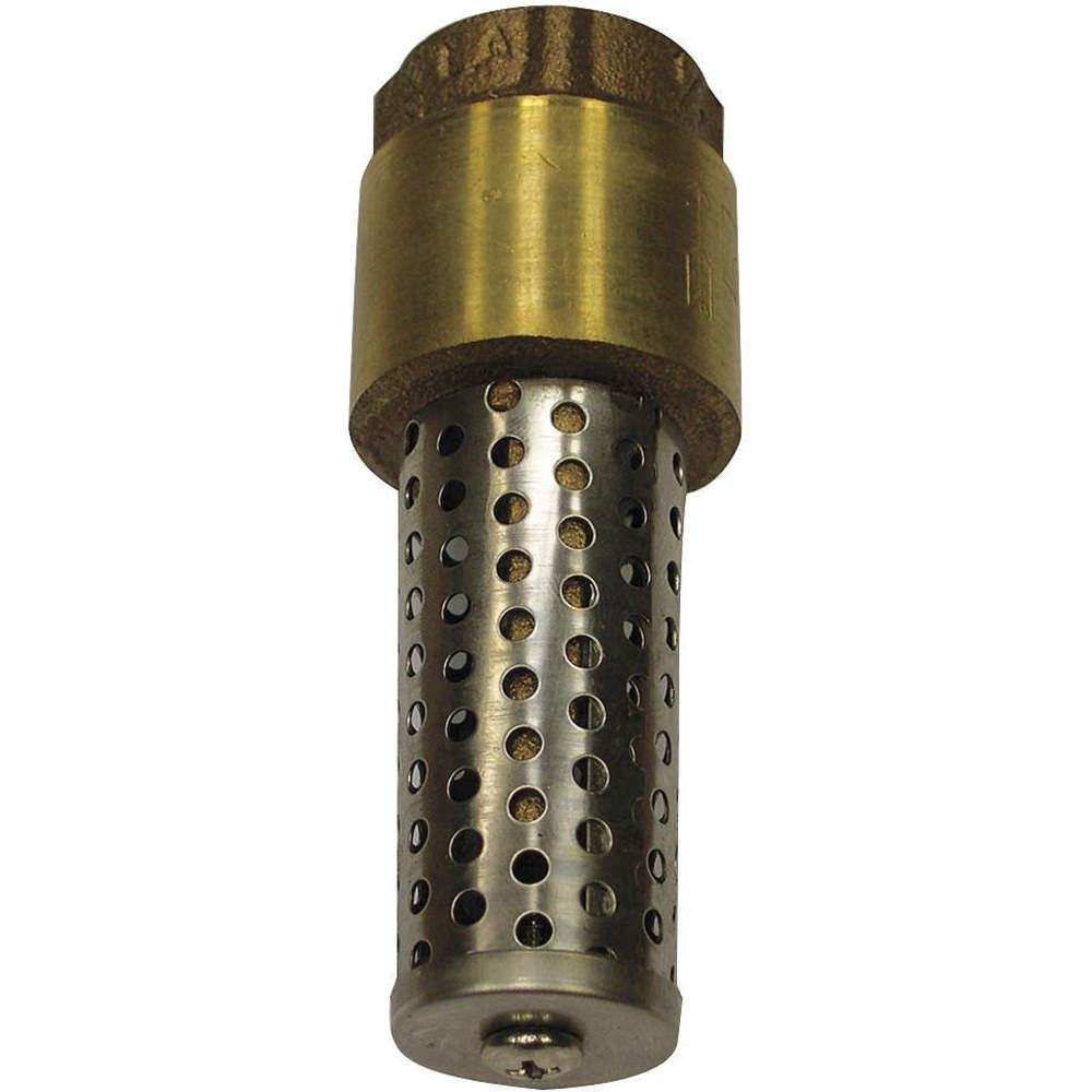 Spring Foot Valve Low Lead Brass 2 Inch