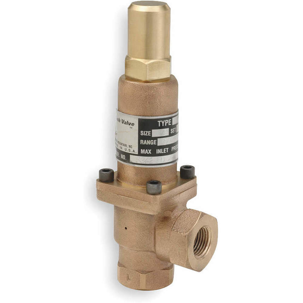 Pressure Relief Valve 1-1/4 Inch 100 Psi
