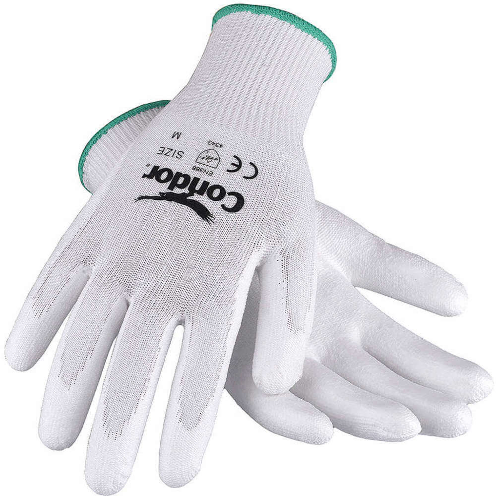 Cut Resistant Gloves Xl Polypropylene Hppe Pr