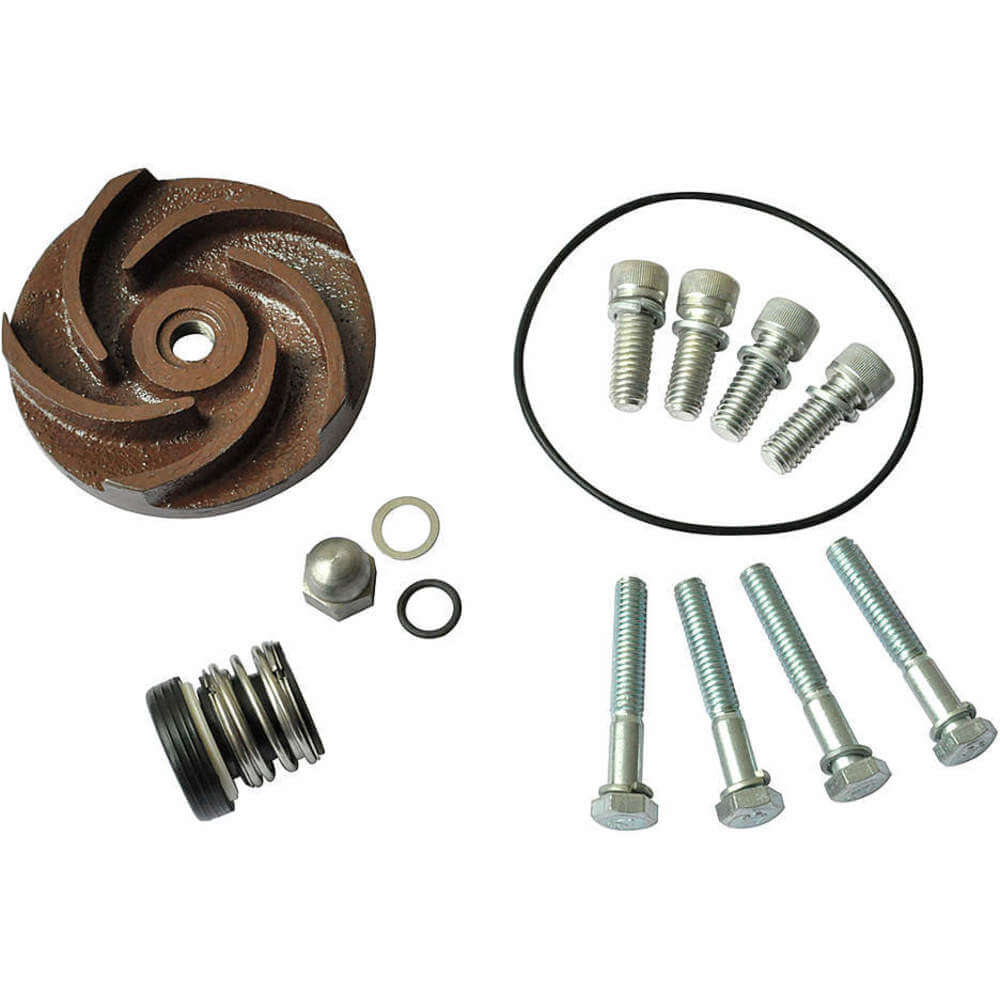 DAYTON 21TG36 Pump Repair Kit For 2zwn9a | AB6JDP