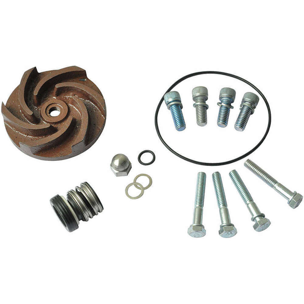 DAYTON 21TG37 Pump Repair Kit For 2zwp1a 2zwp2a | AB6JDQ
