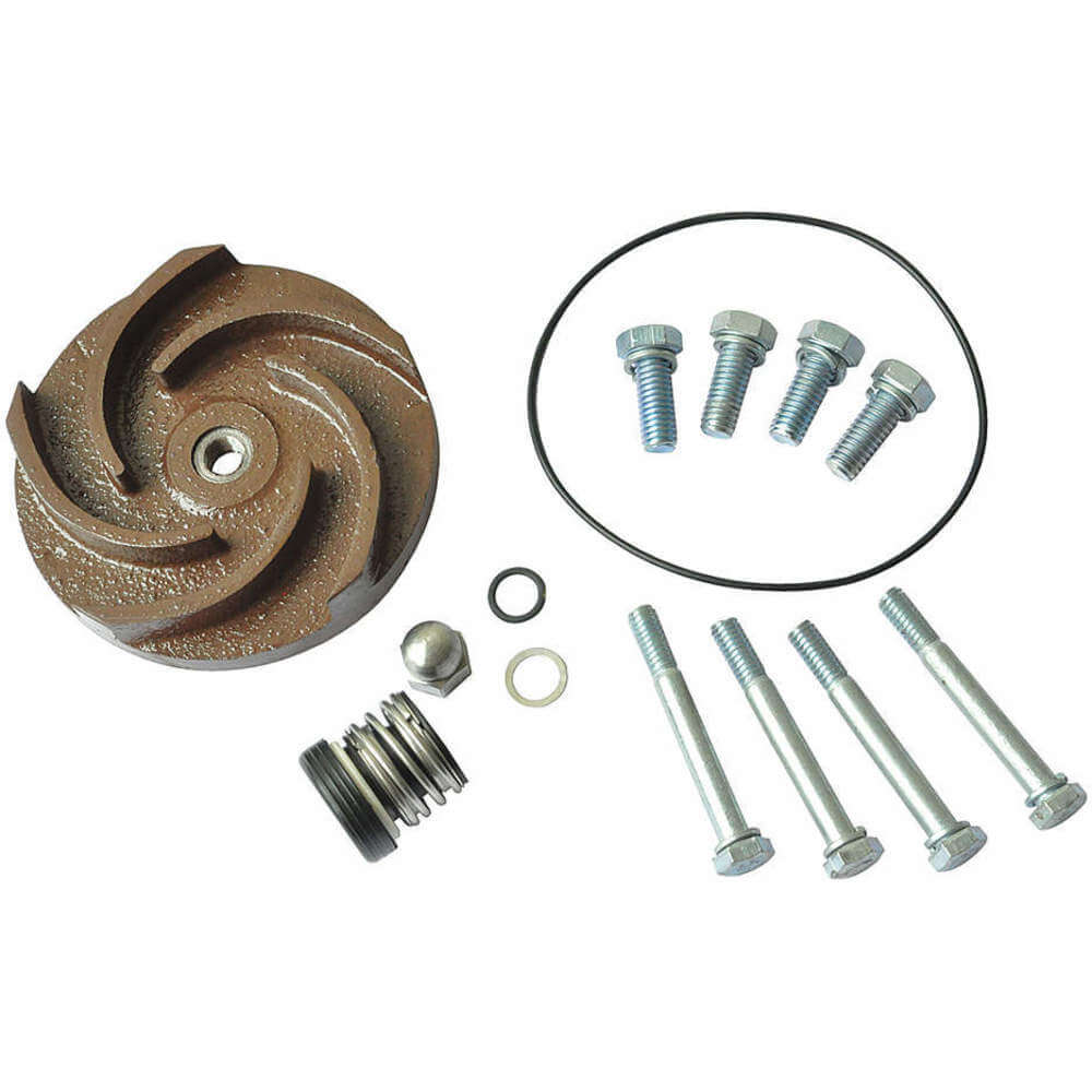 DAYTON 21TG41 Pump Repair Kit For 2zwp5a 2zwp6a | AB6JDT