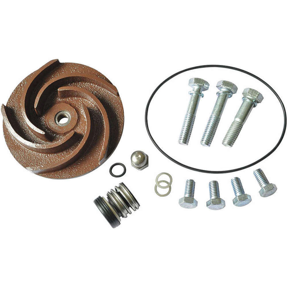 DAYTON 21TG47 Pump Repair Kit For 2zwr2a 2zwr3a | AB6JDW