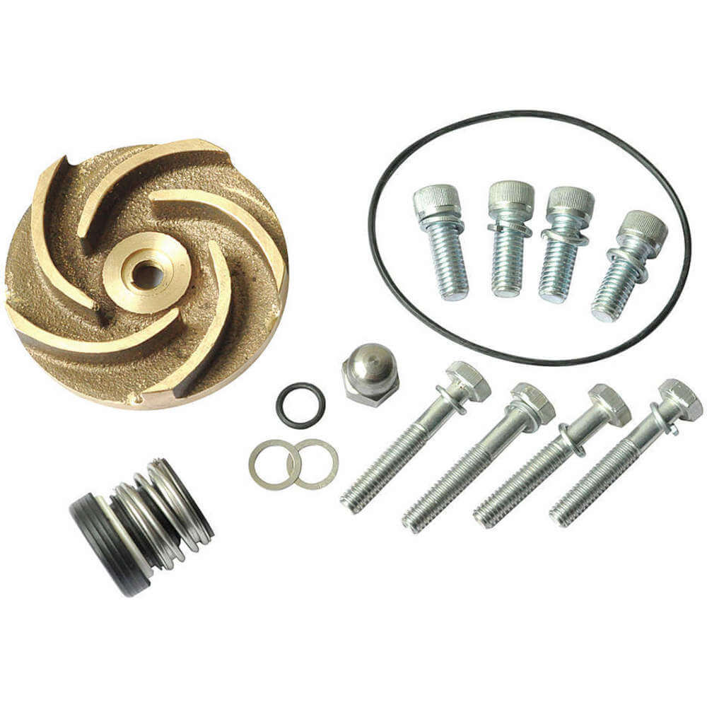 DAYTON 21TG49 Pump Repair Kit For 2zwr4a | AB6JDX
