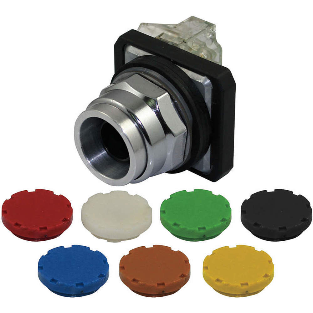 Non-illuminated Push Button 30mm 1no/1nc