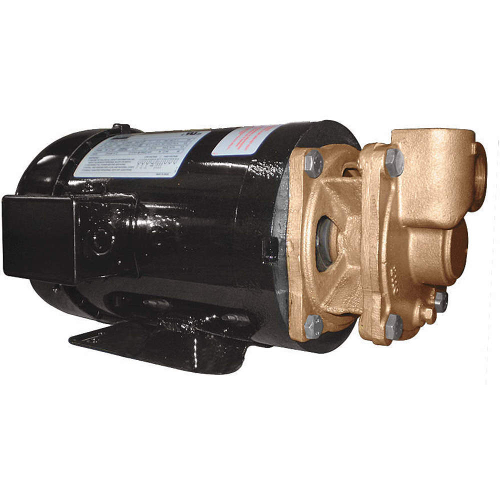 DAYTON 4JPE9 Turbine Pump 2 Hp 3-phase 5.8/2.9 Amp | AD8EXR