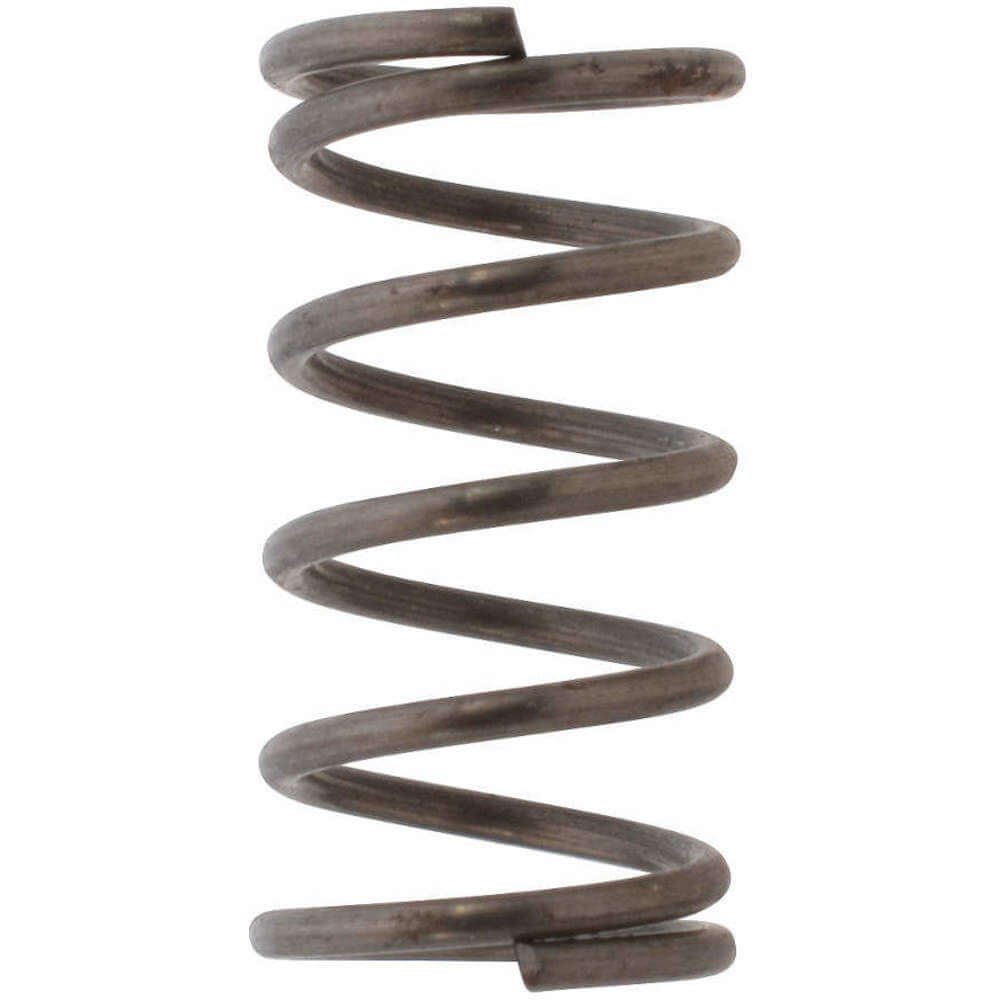 DAYTON PN5ZL18007G Valve Spring | AH9WQU 45L866