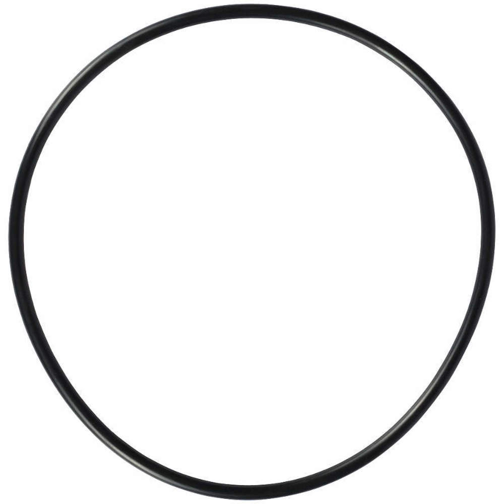 DAYTON PP02011134G O-Ring For Filter Neck | AG9XLH 23AY36