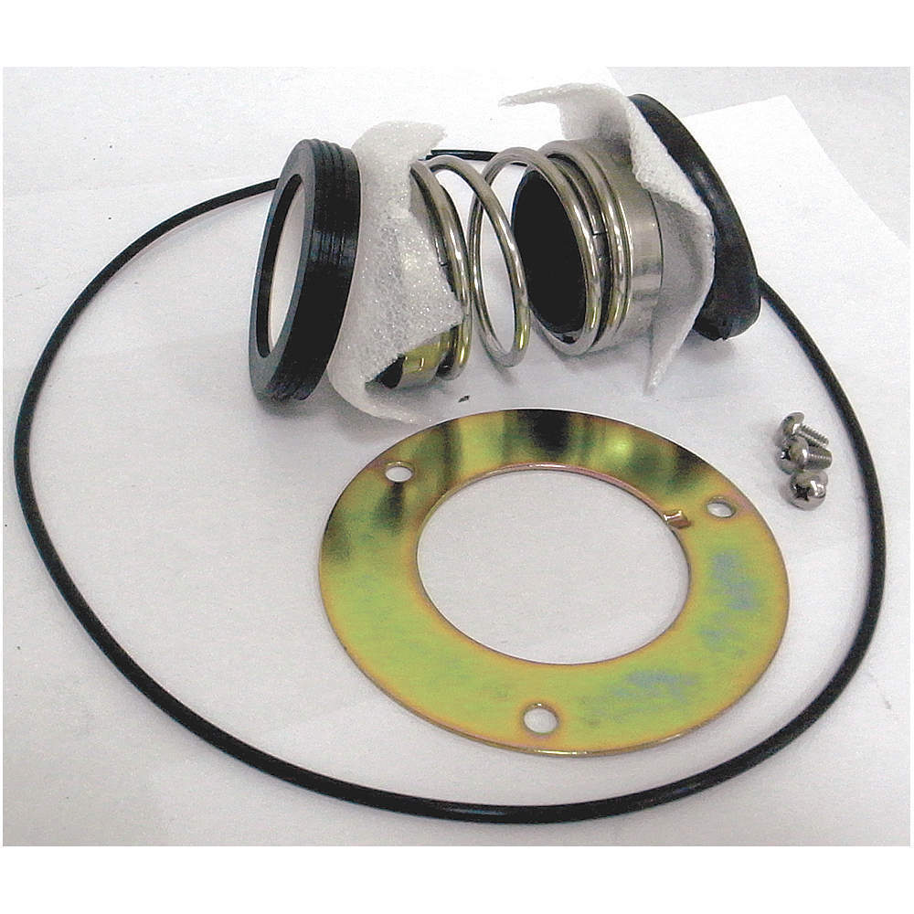 DAYTON PPHP51000206G Mechanical Seal Repair Kit | AG9TRR 22HH19