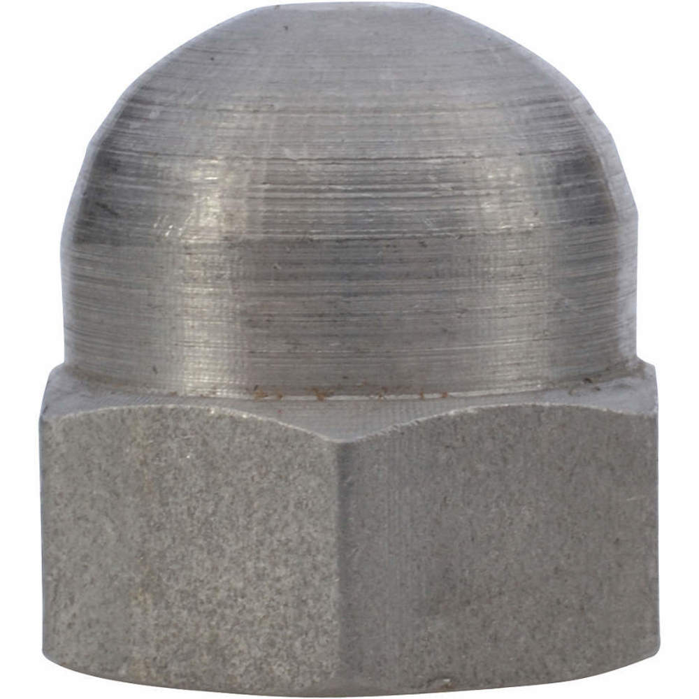 DAYTON PPL3601G Low Crown Acorn Nut | AG9YAZ 23CH44