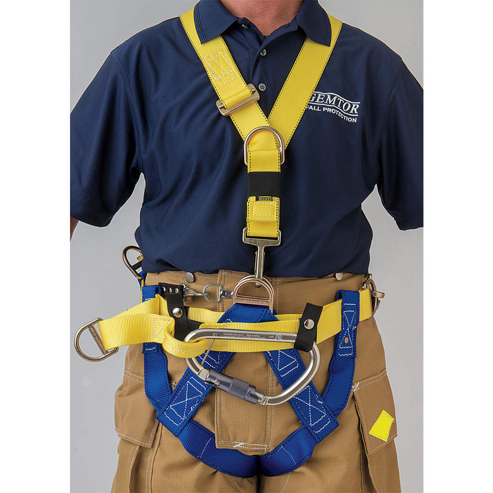 GEMTOR Harnesses