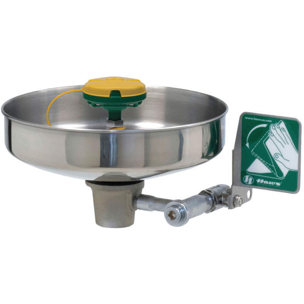 HAWS 7460 Eye/Face Wash UnMounted SS | AG9CGU 16D371