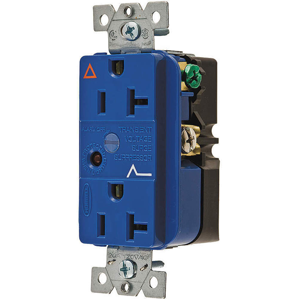 HUBBELL WIRING DEVICE-KELLEMS IG5362SA Duplex Receptacle, With Light And Alarm, 20A, 125V, Blue | AE7YYP 6C135