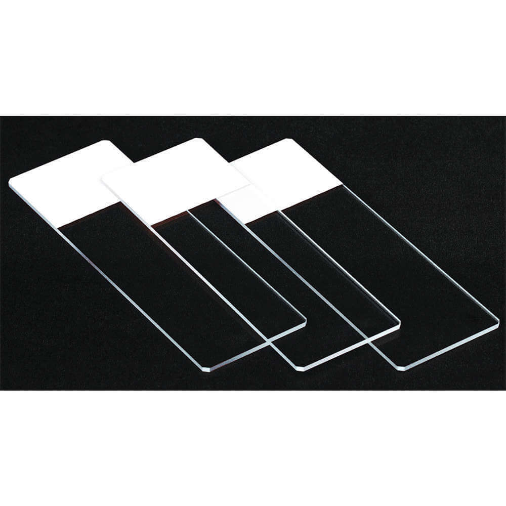 LAB SAFETY SUPPLY Microscope Slides and Slide Storage
