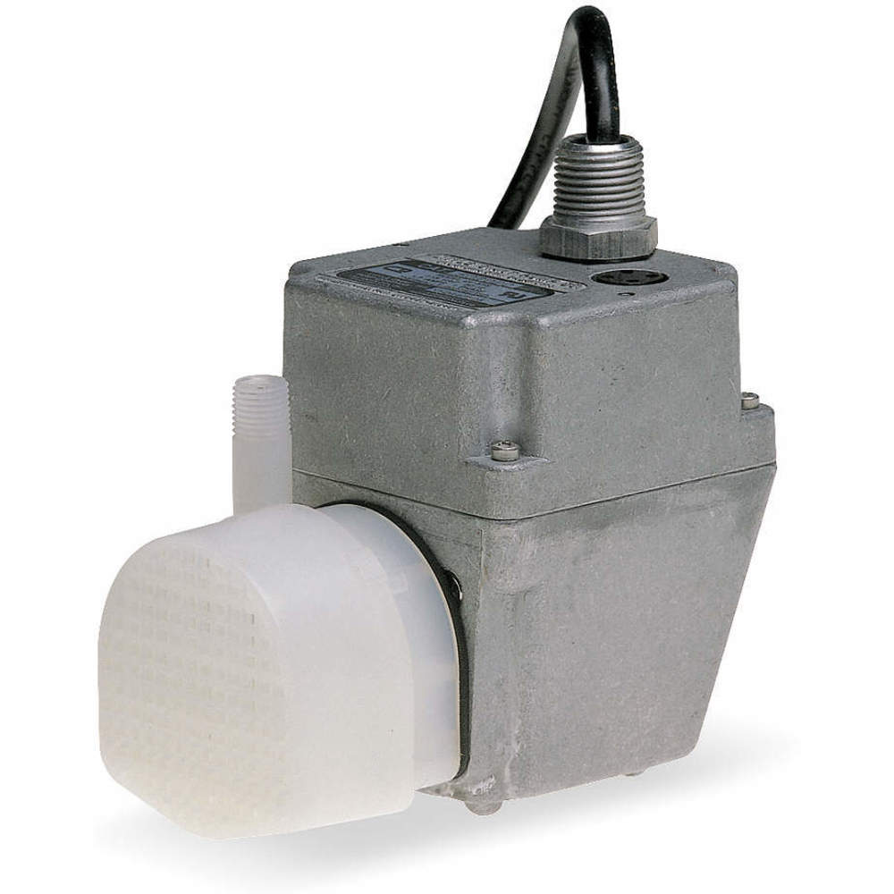 LITTLE GIANT PUMPS 502020