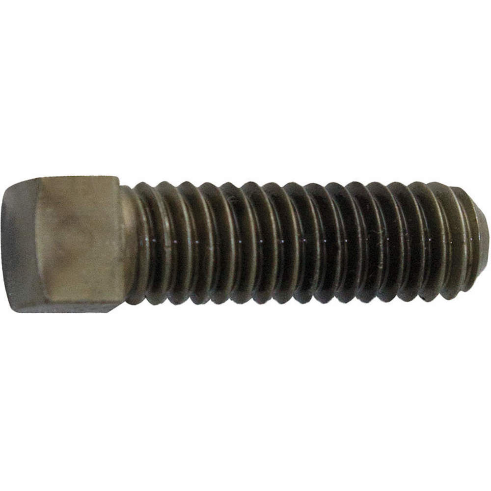 Square Set Screw