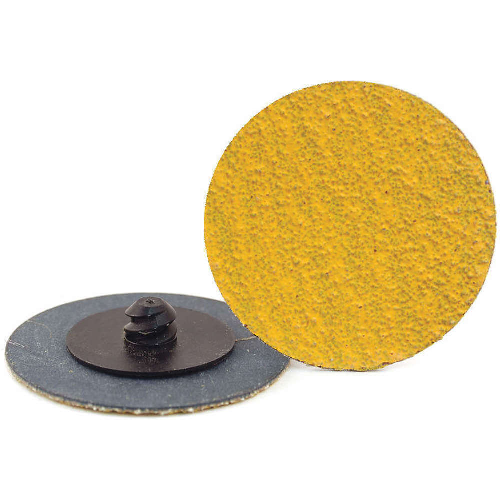 Locking Sanding Disc 4 Inch 24 Grit Tr